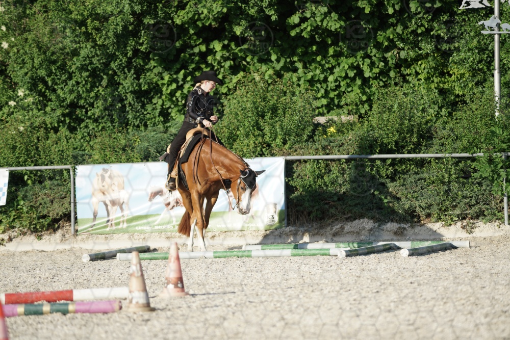 s_APF07192.jpg